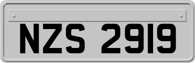 NZS2919