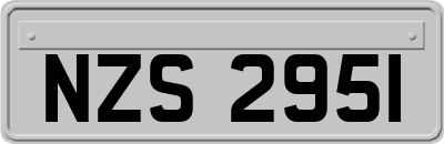 NZS2951