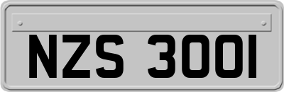 NZS3001