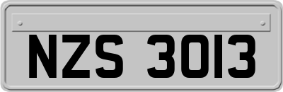NZS3013