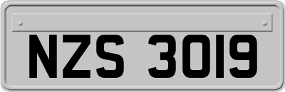 NZS3019