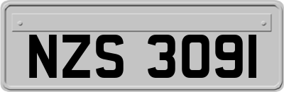 NZS3091