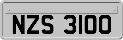 NZS3100