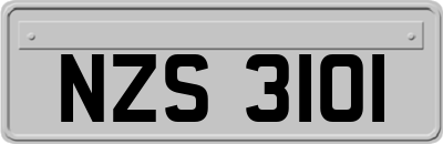 NZS3101