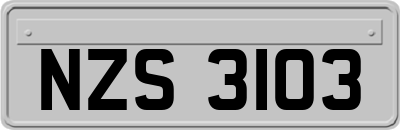 NZS3103