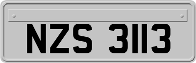 NZS3113