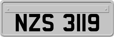 NZS3119