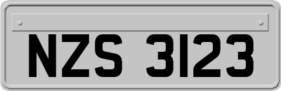 NZS3123
