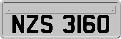 NZS3160