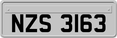 NZS3163