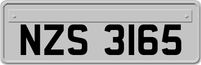 NZS3165