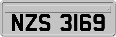 NZS3169
