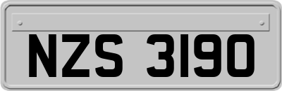 NZS3190