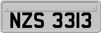 NZS3313