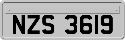 NZS3619