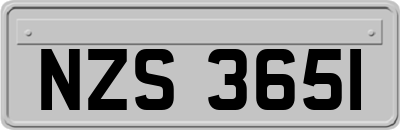 NZS3651