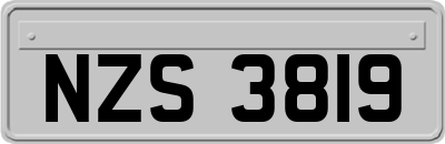 NZS3819