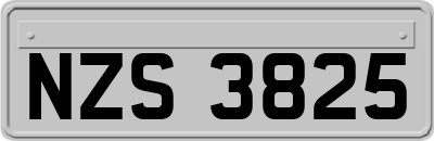 NZS3825