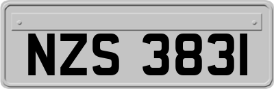 NZS3831