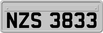 NZS3833