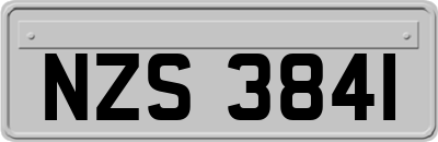 NZS3841