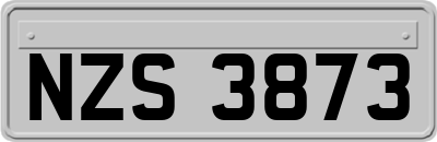 NZS3873