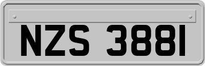 NZS3881