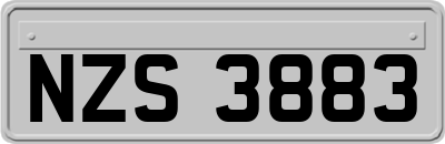 NZS3883