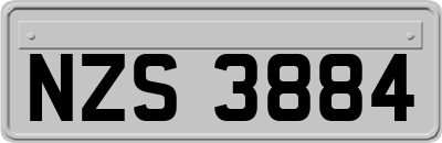 NZS3884
