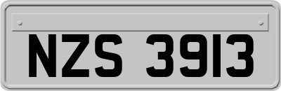 NZS3913