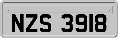 NZS3918