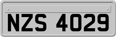 NZS4029