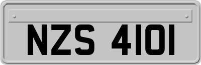 NZS4101