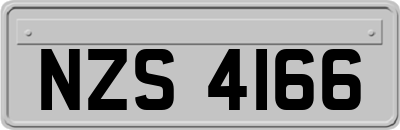 NZS4166