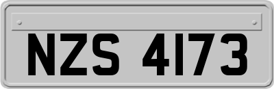 NZS4173