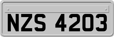NZS4203
