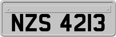 NZS4213