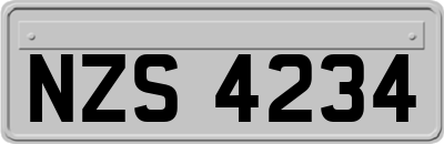 NZS4234