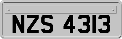 NZS4313