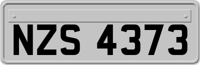 NZS4373