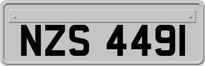 NZS4491