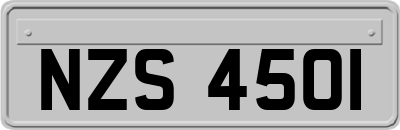 NZS4501
