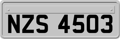 NZS4503