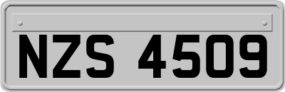NZS4509