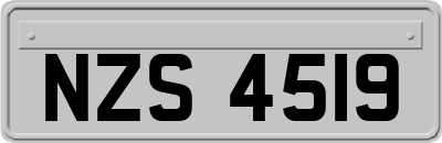 NZS4519