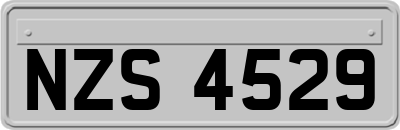 NZS4529