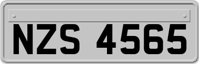 NZS4565