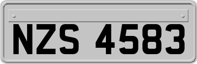 NZS4583