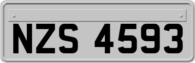 NZS4593