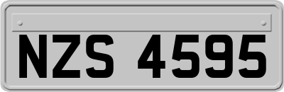 NZS4595